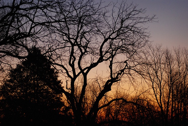 [DSC_0206 copy 2[5].jpg]